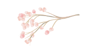 Pink flower dawn martin branding logo